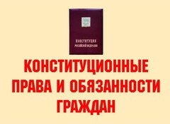 Комплект плакатов "Конституционные права и обязанности граждан" - fgospostavki.ru - Нижний Тагил