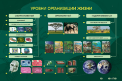 Электрифицированный стенд "Уровни организации жизни" - fgospostavki.ru - Нижний Тагил