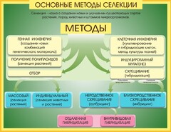 Стенд "Методы селекции и биотехнологии" - fgospostavki.ru - Нижний Тагил
