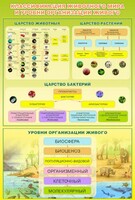 Стенд "Классификация животного мира" - fgospostavki.ru - Нижний Тагил