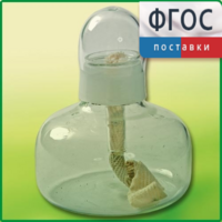 Спиртовка демонстрационная - fgospostavki.ru - Нижний Тагил
