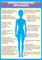 Стенд "Снятие мерок" Вариант 2 - fgospostavki.ru - Нижний Тагил