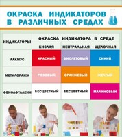Стенд "Окраска индикаторов в различных средах" - fgospostavki.ru - Нижний Тагил