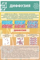 Стенд "Диффузия" - fgospostavki.ru - Нижний Тагил