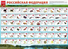 Стенд "Красная книга РФ" - fgospostavki.ru - Нижний Тагил