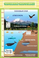 Стенд "Строение биосферы" - fgospostavki.ru - Нижний Тагил