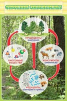 Стенд "Строение экосистемы" - fgospostavki.ru - Нижний Тагил