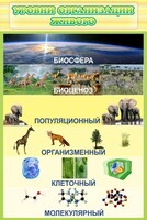 Стенд "Уровни организации живого" - fgospostavki.ru - Нижний Тагил