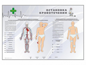 Электрифицированный стенд "Остановка кровотечения" - fgospostavki.ru - Нижний Тагил