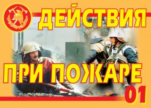 Комплект плакатов "Действия при пожаре" - fgospostavki.ru - Нижний Тагил