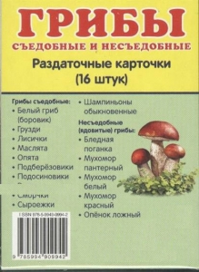 Раздаточные карточки "Грибы съедобные и не съедобные" - fgospostavki.ru - Нижний Тагил