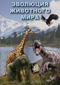 DVD "Эволюция животного мира" - fgospostavki.ru - Нижний Тагил