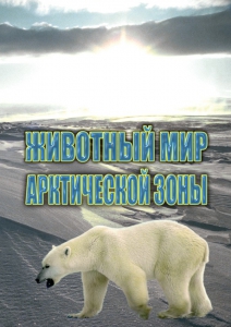 DVD "Животный мир Арктической зоны" - fgospostavki.ru - Нижний Тагил