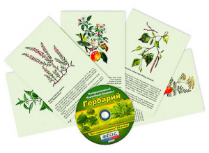 Интерактивный наглядный комплекс "Гербарий "Для начальной школы" - fgospostavki.ru - Нижний Тагил