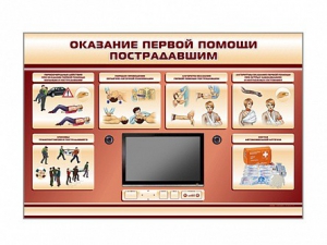 Многофункциональный интерактивный стенд-тренажер "Оказание первой помощи пострадавшим" для учащихся общеобразовательных учреждений - fgospostavki.ru - Нижний Тагил