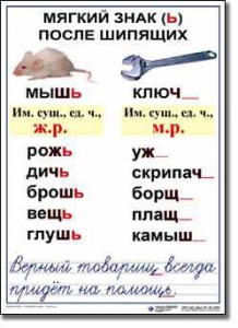 Комплект таблиц по русскому языку для начальной школы. Русский язык 3 класс - fgospostavki.ru - Нижний Тагил