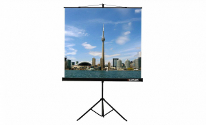 Проекционный экран на штативе Lumien Eco View (LEV-100105) 160x160 см - fgospostavki.ru - Нижний Тагил