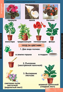 Комплект таблиц. Окружающий мир 1 класс. - fgospostavki.ru - Нижний Тагил