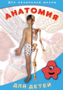 DVD "Анатомия для детей" - fgospostavki.ru - Нижний Тагил