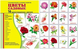Демонстрационные карточки "Цветы садовые" - fgospostavki.ru - Нижний Тагил