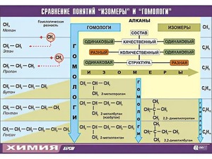 Таблица демонстрационная "Сравнение понятий изомер и гомолог" (винил 70x100) - fgospostavki.ru - Нижний Тагил
