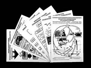 Комплект таблиц по экологии "Экосистема-экологическая единица окружающей среды" (ламинированные, А4, 12 штук) - fgospostavki.ru - Нижний Тагил