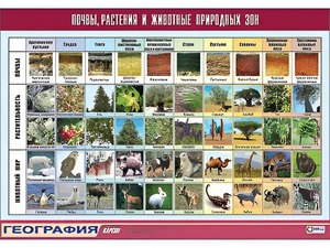 Таблица демонстрационная "Почвы, растения и животные природных зон" (винил 100*140) - fgospostavki.ru - Нижний Тагил