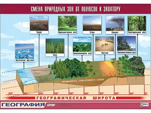 Таблица демонстрационная "Смена природных зон от полюсов к экватору" (винил 100*140) - fgospostavki.ru - Нижний Тагил
