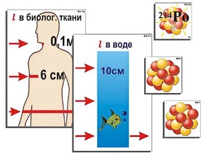 Модель-аппликация "Явление радиоактивности" (ламинированная) - fgospostavki.ru - Нижний Тагил