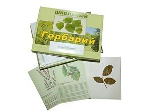 Гербарий "Дикорастущие растения" (30 видов, с иллюстрациями) - fgospostavki.ru - Нижний Тагил