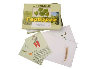 Гербарий "Культурные растения" (30 видов, с иллюстрациями) - fgospostavki.ru - Нижний Тагил