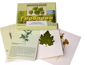 Гербарий "Систематика растений. Высшие споровые и семенные" (раздаточный) - fgospostavki.ru - Нижний Тагил