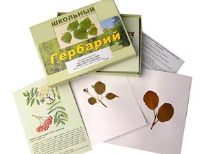 Гербарий "Систематика растений. Семейство Розоцветные" (раздаточный) - fgospostavki.ru - Нижний Тагил