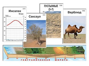 Модель-аппликация "Природные зоны" - fgospostavki.ru - Нижний Тагил