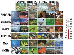 Фенологические наблюдения - fgospostavki.ru - Нижний Тагил