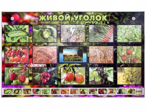 Комплект оборудования "Живой уголок" (растения) с тифлопереводом и сурдокомментариями - fgospostavki.ru - Нижний Тагил