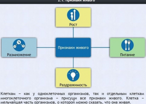 Интерактивные курсы. Биология 5 класс. Базовый - fgospostavki.ru - Нижний Тагил