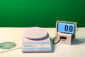 Датчик массы 1000 г с независимой индикацией (весы с USB-переходником) - fgospostavki.ru - Нижний Тагил