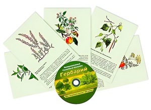 Интерактивный наглядный комплекс "Гербарий "Для начальной школы" - fgospostavki.ru - Нижний Тагил