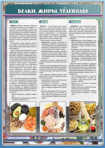 Стенд "Белки. Жиры. Углеводы" - fgospostavki.ru - Нижний Тагил
