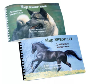 Пособие для слабовидящих - Домашние животные - fgospostavki.ru - Нижний Тагил