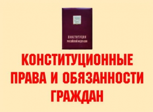 Комплект плакатов "Конституционные права и обязанности граждан" - fgospostavki.ru - Нижний Тагил