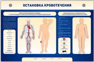 Электрифицированный стенд-тренажер "Остановка кровотечения" - fgospostavki.ru - Нижний Тагил