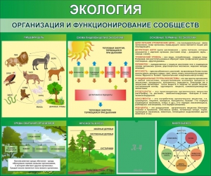 Стенд "Экология. Организация и функционирование сообществ" - fgospostavki.ru - Нижний Тагил