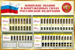 Стенд "Воинские звания в вооруженных силах РФ" - fgospostavki.ru - Нижний Тагил