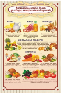 Стенд "Витамины, жиры, белки" - fgospostavki.ru - Нижний Тагил
