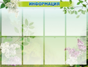 Стенд "Информация" Вариант 13 - fgospostavki.ru - Нижний Тагил