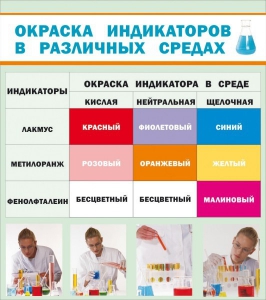 Стенд "Окраска индикаторов в различных средах" - fgospostavki.ru - Нижний Тагил