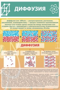 Стенд "Диффузия" - fgospostavki.ru - Нижний Тагил