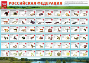 Стенд "Красная книга РФ" - fgospostavki.ru - Нижний Тагил